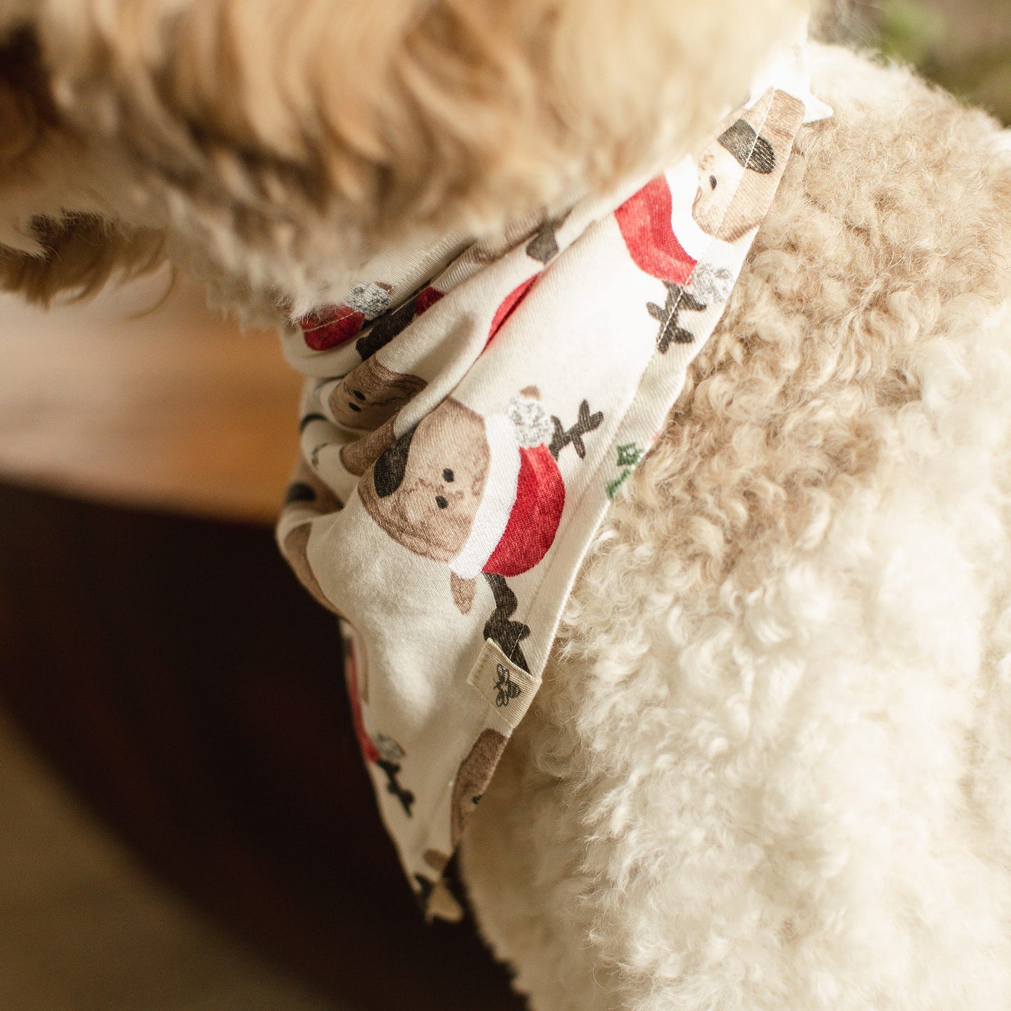 Guide My Sleigh Matching Organic Cotton Men's Pajamas
