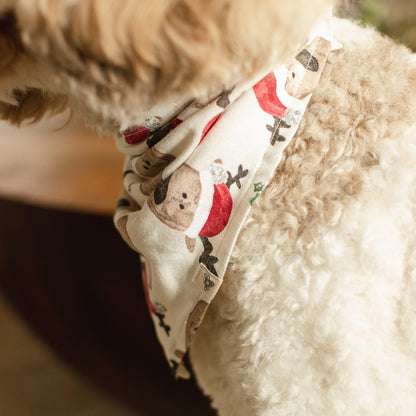 Guide My Sleigh Matching Organic Cotton Men's Pajamas