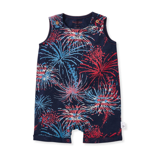 Celebrate America Organic Baby Boy Romper