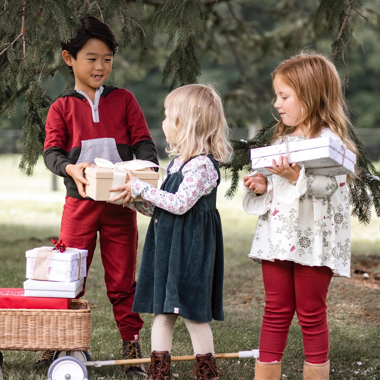 Poinsettia Fair Isle Organic Girl Tee & Dress Set