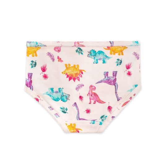 Dino Friends & Tie Dye Organic Cotton Toddler Girl Underwear 5 Pack